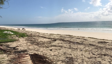 WhatsApp Image 2022-05-05 at 4.09.01 PM.jpeg